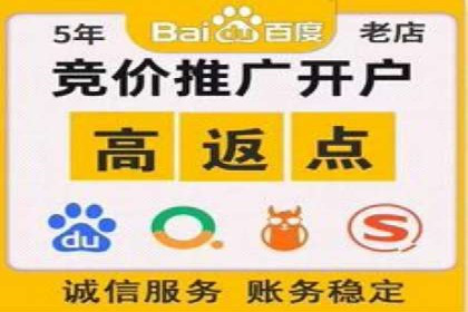 案例剖析：百度SEO推广公司如何助力企业飞速发展