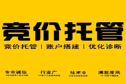 SEM关键词优化案例实战技巧